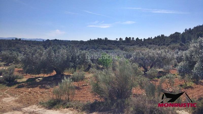 Foto c60d1c0a-28ea-4933-9979-33499a85f2bd. Finca rústica a Riba-roja d´Ebre