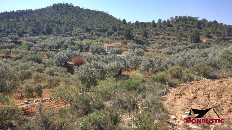 Foto eaa1024c-b288-4a4e-8b65-14ef8784a36e. Finca rústica a Riba-roja d´Ebre