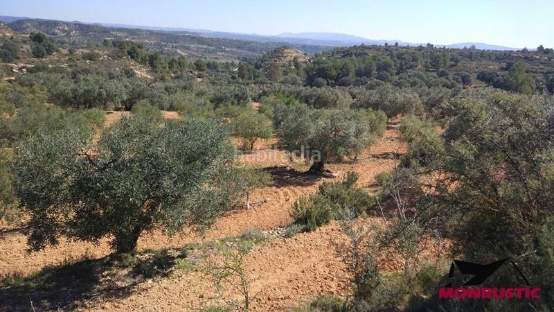 Foto ead8c44f-4324-4c7a-bd01-f9cbb8a8125c. Finca rústica a Riba-roja d´Ebre