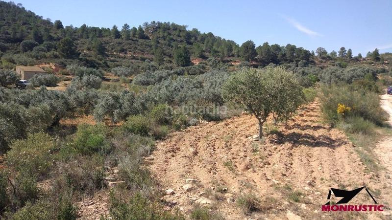 Foto f9039793-58e3-4048-abee-f3bf7e6b9ccc. Finca rústica a Riba-roja d´Ebre