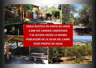Rural plot in Selva del Camp (La). Finca rustica n la selva del camp con unos 6.000 m2, pozo propio