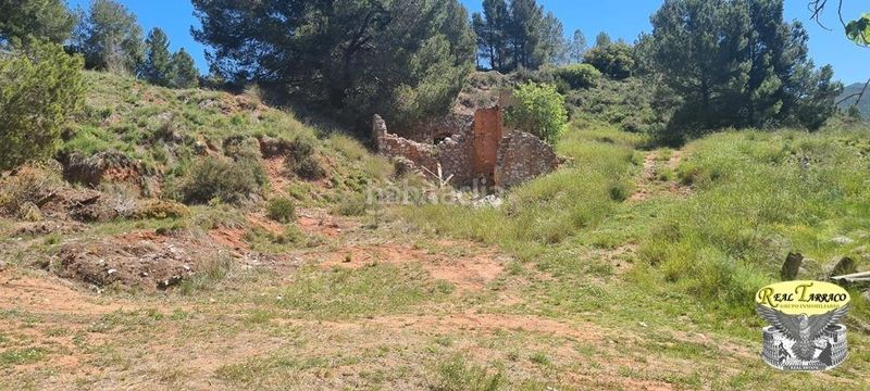 Foto 1ebde385-99e1-41ac-92af-6f9762e098c7. Finca rústica a Vilaverd