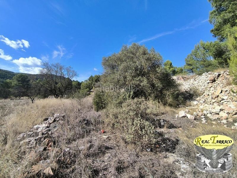 Foto f4ed8c04-ff8f-4427-8464-d5d65e1ed727. Finca rústica a Vilaverd