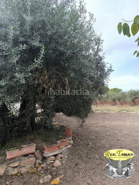 Foto 6f8a6008-224f-4978-80d2-44eb13f8088b. Masia amb piscina a Migjorn Reus
