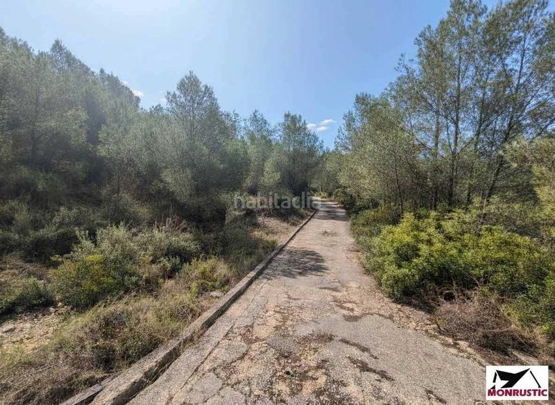 Foto 609d179b-a38b-43ea-b0b5-5447e6d9e3c7. Masia a Masllorenç