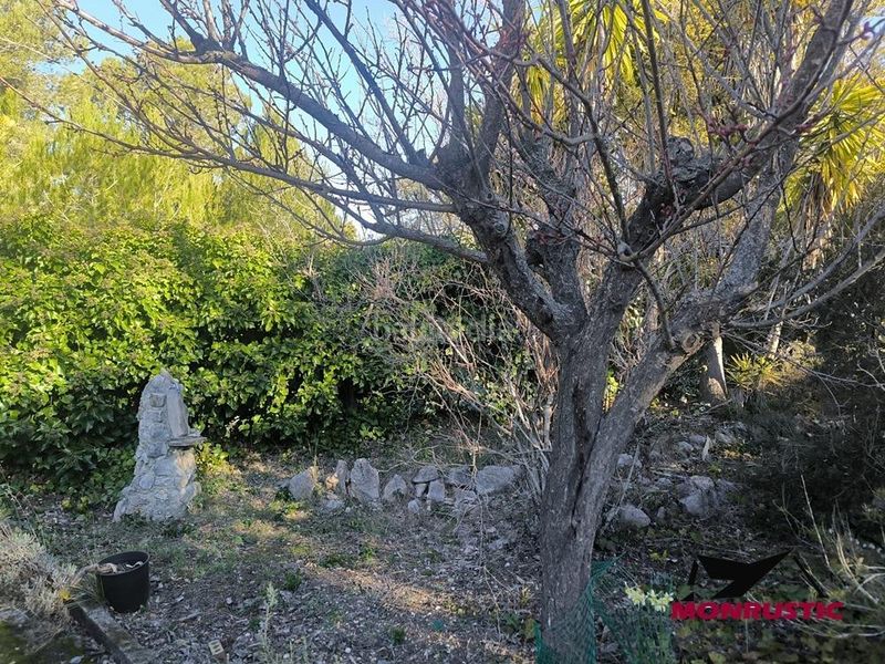 Foto f10b2815-00d2-4825-9bab-b8f8c24a65b9. Terreny residencial a Querol