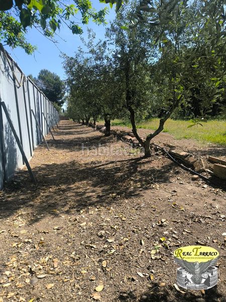 Foto 577da74d-cc72-4baa-930c-93961e793c12. Pis amb aparcament a Ponent Reus