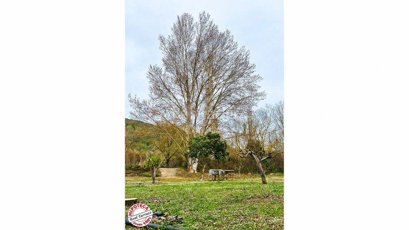 Foto 977f6814-8d10-4f4d-9d88-21b7fb1bddff. Finca rústica el rincón que buscabas en las montañas de prades 3 fincas a la venta en Mont-ral