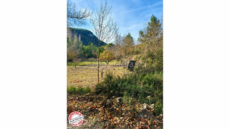 Foto d899d067-e839-4abf-803a-47278d7de5df. Finca rústica el rincón que buscabas en las montañas de prades 3 fincas a la venta en Mont-ral