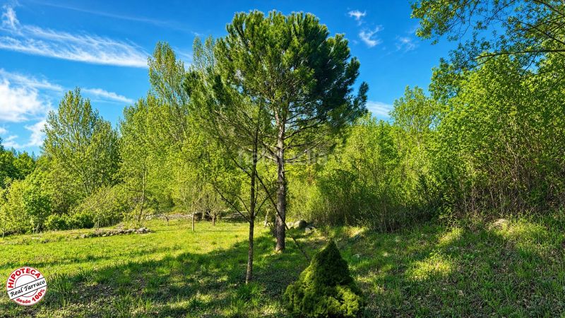 Foto e7e9bc96-e8ba-4777-a4ba-855367a00362. Finca rústica el rincón que buscabas en las montañas de prades 3 fincas a la venta en Mont-ral