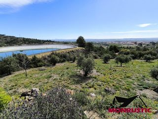 Landgut in Selva del Camp (La). Finca rústica de 18.436 m2 con agua propia y posibilidad de luz