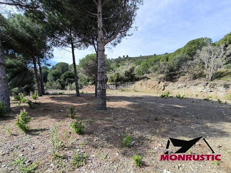 Foto 4bded625-2eb8-45ff-a576-e9953d42474b. Finca rústica a Selva del Camp (La)