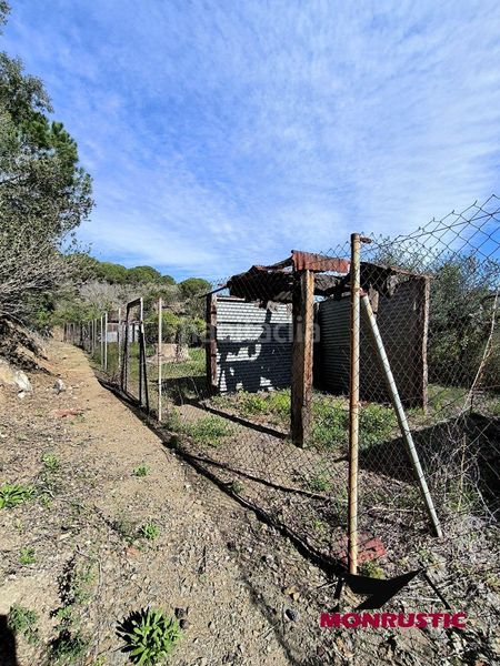 Foto 533ca54b-ca9b-4f87-89f0-ee5d3273d5ce. Finca rústica a Selva del Camp (La)