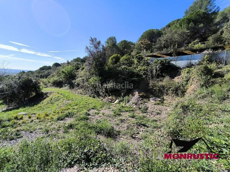 Foto 5d99b1dc-de99-4053-9a61-670fca711265. Finca rústica a Selva del Camp (La)