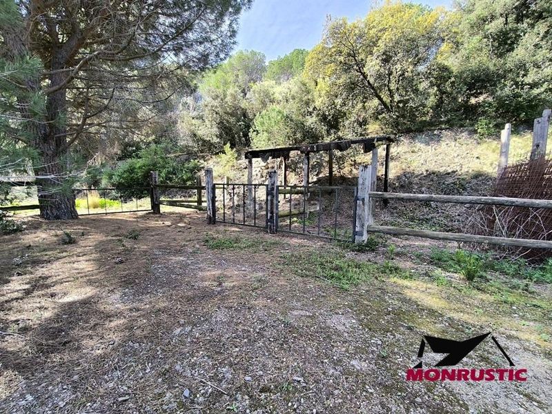 Foto a438c72f-0c7d-4c59-bea3-c66d5d22b2d2. Finca rústica a Selva del Camp (La)