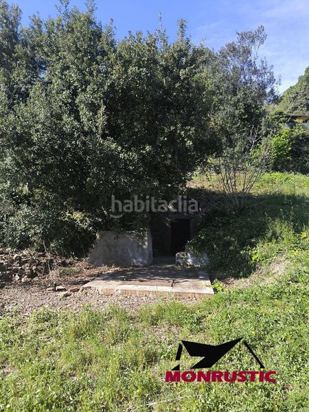 Foto eabff3dd-a218-43d1-afaa-bb33f2bbe435. Finca rústica a Selva del Camp (La)