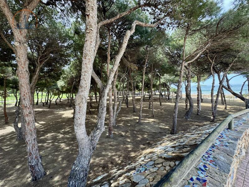 Foto 0cb0eac4-1a08-463a-be2b-ec48863a083d. Appartement dans Zona Galúa - Calnegre Manga del Mar Menor (La)