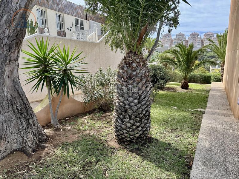 Foto 1d2a2218-810b-4228-8f63-435cd38e0d87. Appartement dans Zona Galúa - Calnegre Manga del Mar Menor (La)