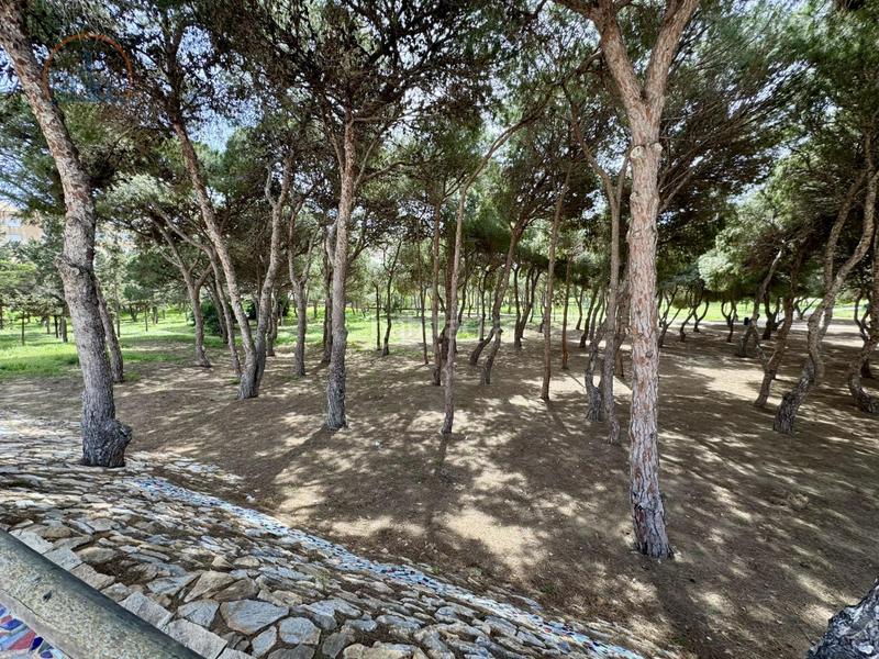 Foto 5a945808-ebc1-4a24-bb5e-3524f2d51147. Appartement dans Zona Galúa - Calnegre Manga del Mar Menor (La)