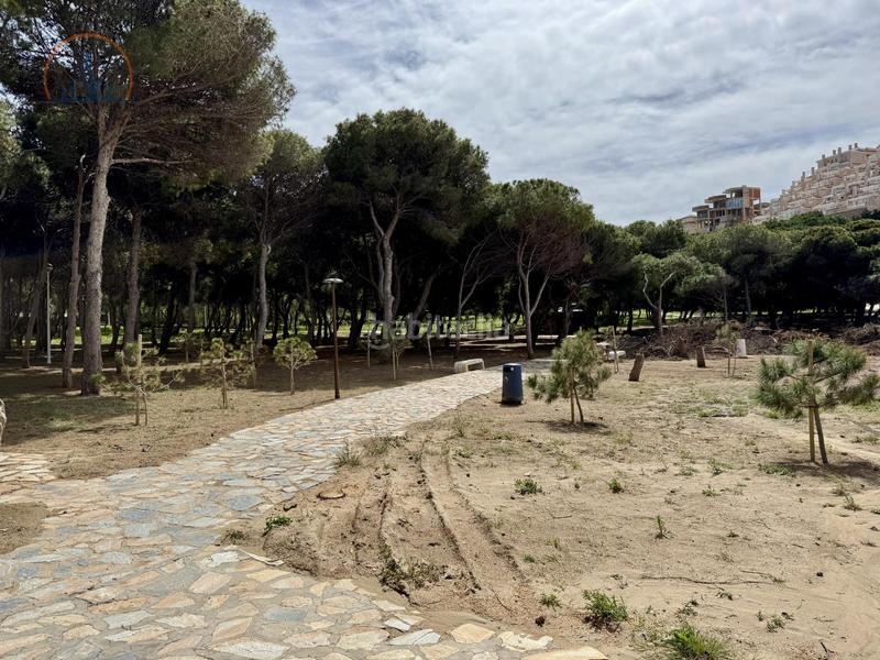 Foto eb975777-374e-4e0a-9b42-f4876697adfd. Appartement dans Zona Galúa - Calnegre Manga del Mar Menor (La)