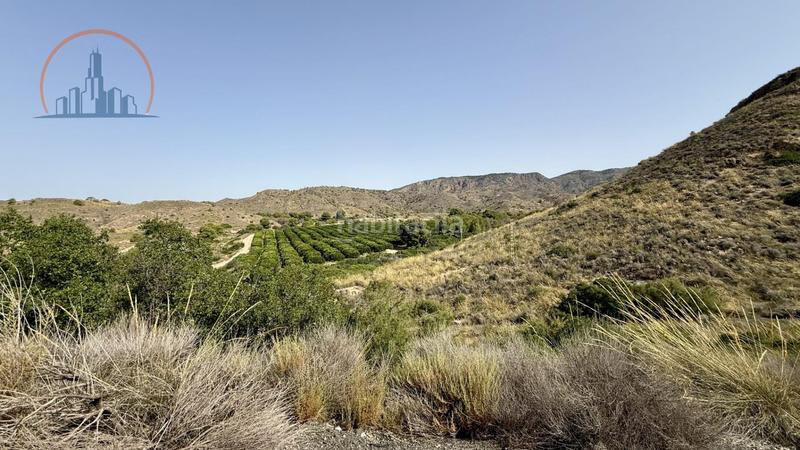 Foto 7c173fea-25a3-443b-a969-be4d77d1a783. Maison dans Los Almagros - Los Paganes - El Escobar Fuente Álamo de Murcia