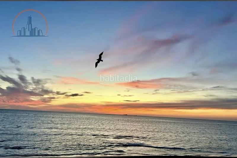 Foto 38ba69b6-02e5-4607-9cd8-bb7e1ba449b1. Chalet with parking pool in Playa del Galán Manga del Mar Menor (La)