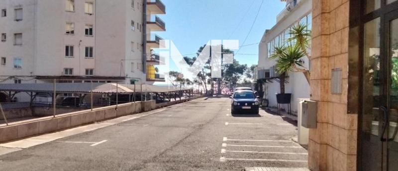 Foto de0cc1f3-b441-411c-bb15-36a010ccb2b0. Pis a Passeig Marítim Miami Platja