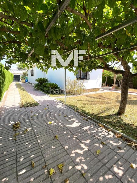 Foto c6c04544-8101-44b3-aed4-7787476218e0. Xalet amb aparcament a Centre Miami Platja