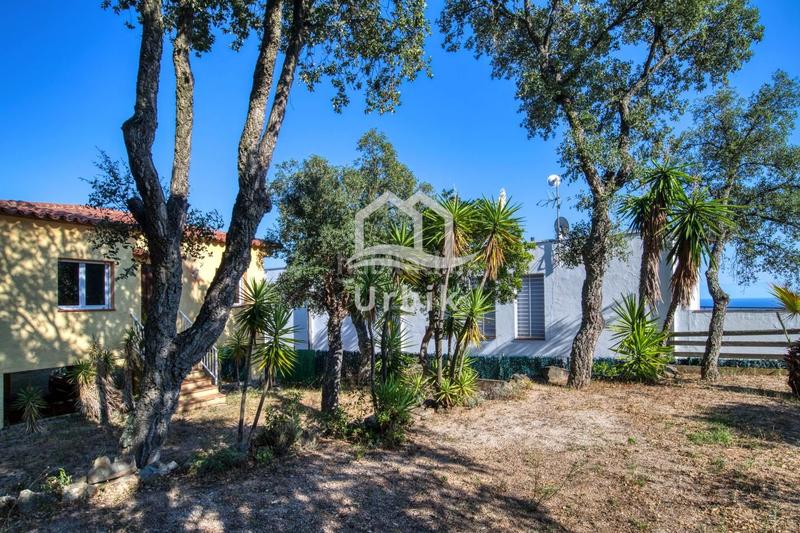 Foto 856769f6-ddc3-4fde-b572-8ec74b11cb13. Maison avec chauffage dans Santa Cristina Poble Santa Cristina d´Aro