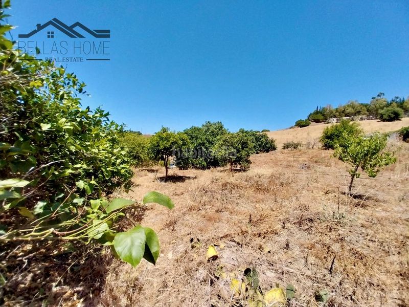 Foto b4537154-909c-431a-b2ec-3dfd2e5aa8c3. Masia amb aparcament a Zona Calvario Estepona