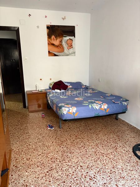Foto 047fb2a1-3c69-42e1-804a-ed6e6d254e3a. Pis a Albal