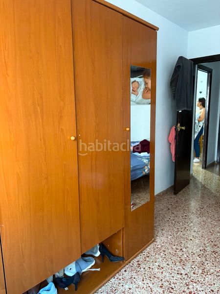 Foto 6247abb0-f643-41d1-ae9a-c7efbbd5bfd2. Pis a Albal