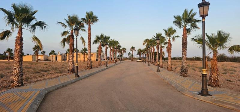 Foto 26daf868-17ba-4e51-931f-3b46dba611f6. House with parking in Los Almagros - Los Paganes - El Escobar Fuente Álamo de Murcia