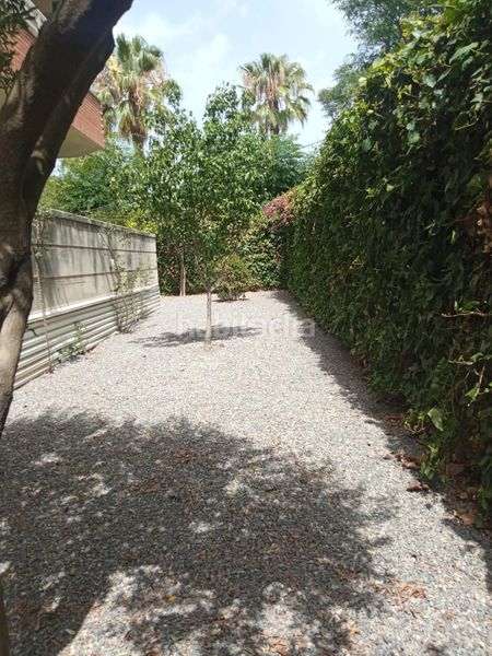 Foto e5428fef-dd0c-4b2b-82de-60b4b66774a8. Planta baja en carrer de l'ametlla de mar 10 ¡descubre tu oasis en el corazón ! en Salou