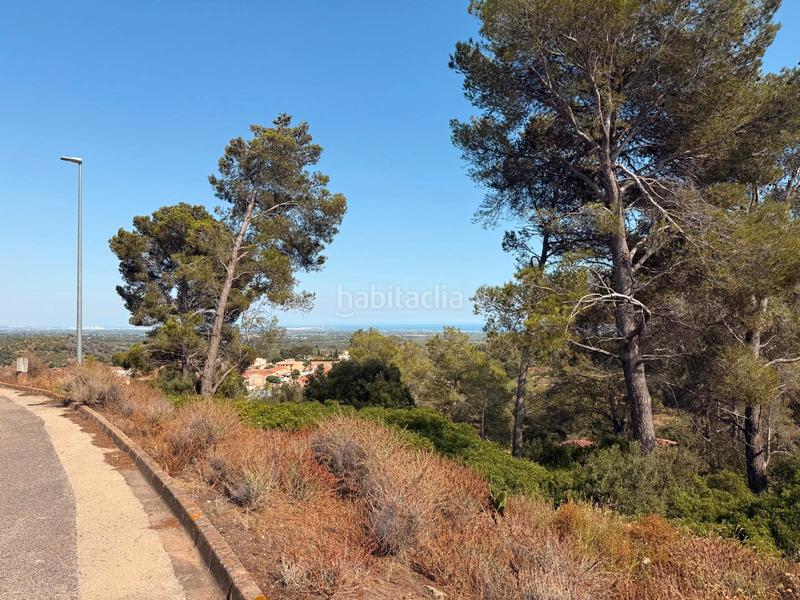 Foto 12b6e9be-08fb-4703-b01e-72409959fdcd. Terreno residenziale in carrer dels escanyets 207 in Riudecanyes