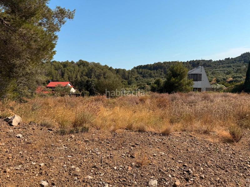 Foto 4e4de7f0-a8fd-45f1-926e-9e6b90d59b84. Terreno residenziale in carrer dels escanyets 207 in Riudecanyes