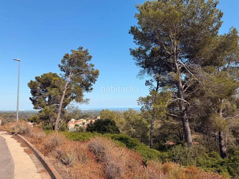 Foto 50656386-acd5-4c02-9b55-18dde7220739. Terreno residenziale in carrer dels escanyets 207 in Riudecanyes