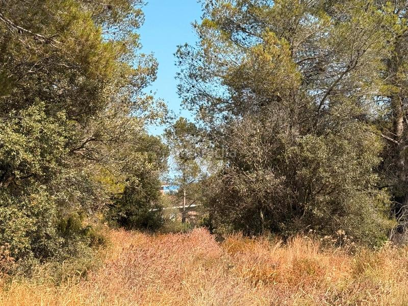 Foto 72bc04e1-0342-417c-8927-fb200ec281c8. Terreno residenziale in carrer dels escanyets 207 in Riudecanyes