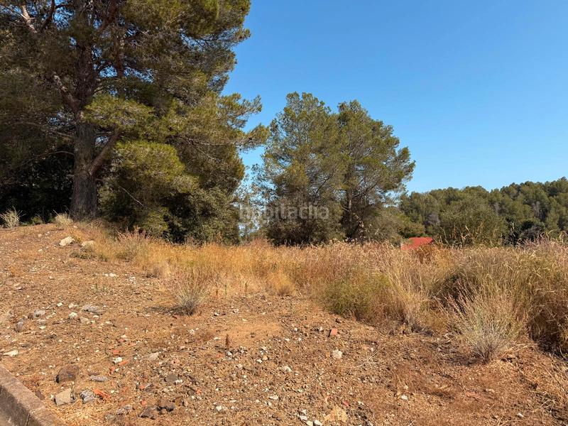 Foto 7612722f-59c4-4a92-a0a7-a10988593e3c. Terreno residenziale in carrer dels escanyets 207 in Riudecanyes