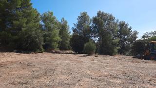 Terreno residencial en Carrer dels escanyets 207. ¡oportunidad! parcela en venta en zona urbana – urbanización mar