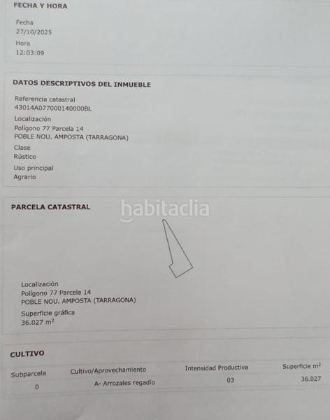 Foto 4f9270df-bb66-456c-ae14-09bcd5a2d239. Finca rústica en venta!! tierra de arroz en pleno rendimiento en Amposta