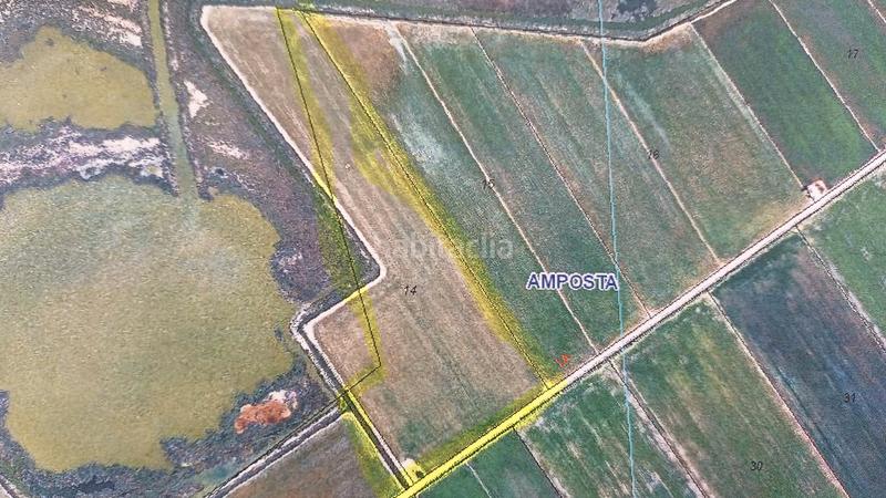 Foto 5cdf967f-ddf0-4caf-9448-38b88dde6e39. Finca rústica en venta!! tierra de arroz en pleno rendimiento en Amposta