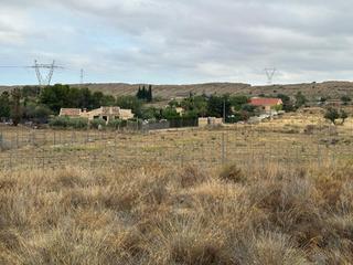 Finca rústica a Montnegre. Parcela rustica zona portell de la moleta mutxamel