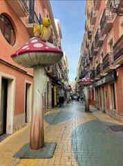 Local Comercial a Barrio del Centro