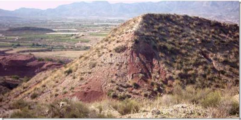 Foto b73889ac-ea08-48de-a840-a3a9d471ab9d. Fondo rustico in Agost