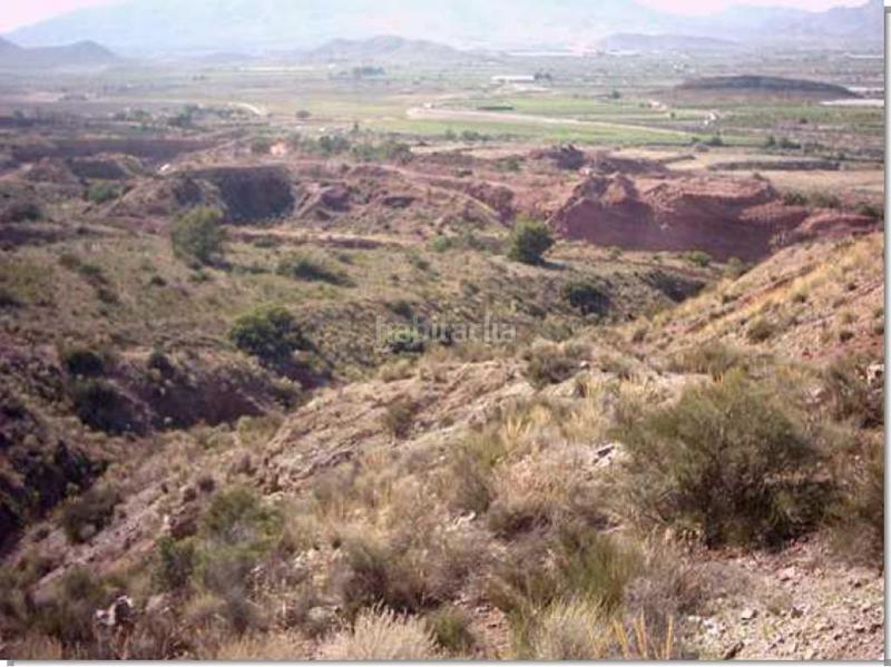 Foto b9b822a7-7e06-4c9e-85f7-63ad71dc67f9. Fondo rustico in Agost