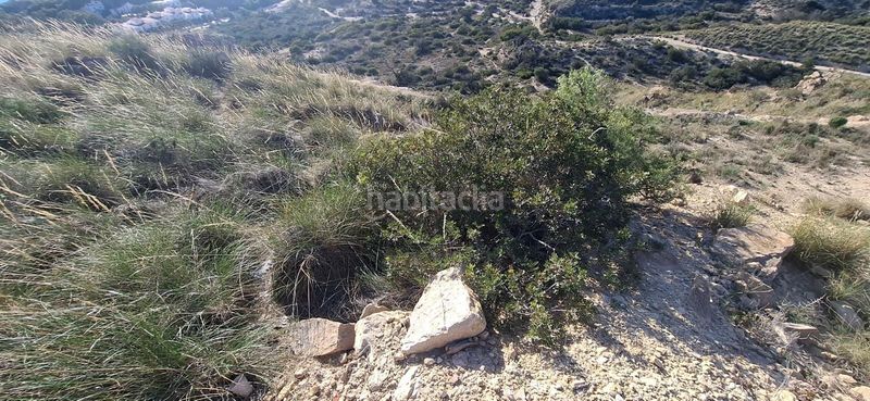 Foto 77c9ba7d-6b0d-402a-8bc7-6111caeaec67. Terreny residencial a Pueblo Español-Coveta Fumá Campello (el)