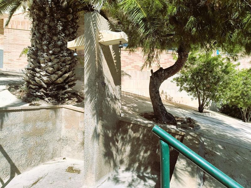 Foto a64ee31f-2e64-4013-a96e-cbb0b76e8ded. Apartament amb aparcament a Los Arenales del Sol Elche / Elx