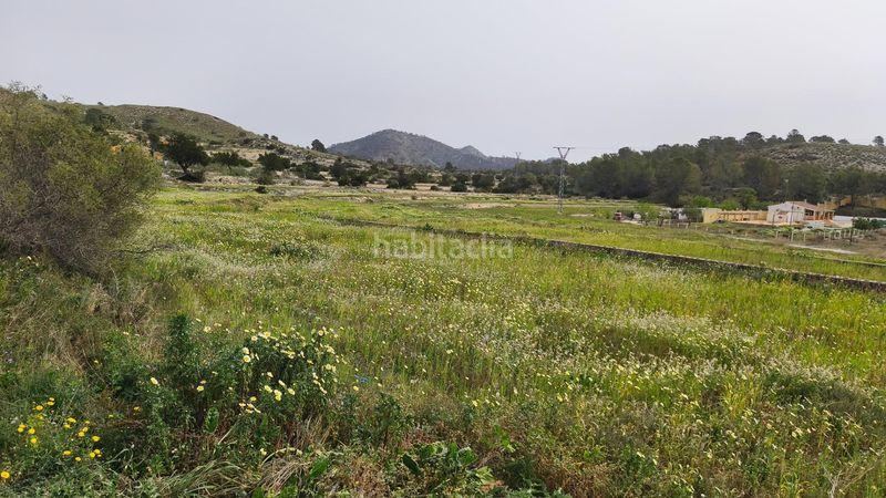 Foto 802cdca8-7451-4ba2-a1ed-bb7fbced6628. Terreny residencial a Aigües