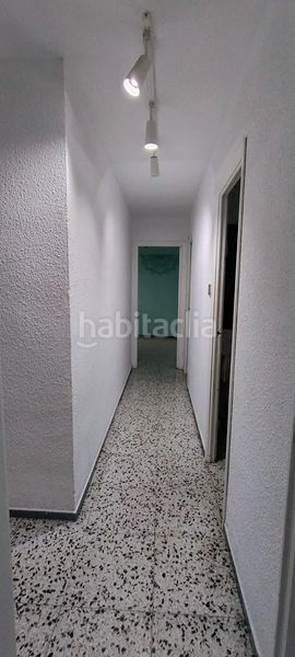Foto 46763517-fcf3-46ca-a57a-2eff5e6fd10d. Pis a Carolinas Bajas Alicante